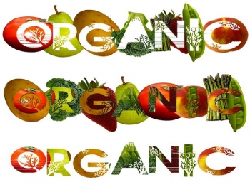 Thế nào là sản phẩm Organic?